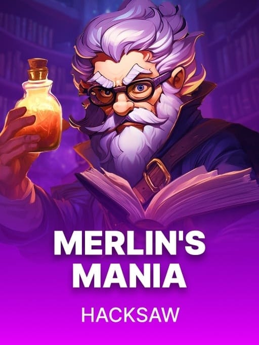 Merlin's Mania game cover
